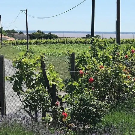 Grande Vue A Little Bit Of French Tranquillity Prázdninový dům *