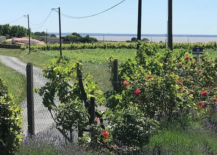 Grande Vue A Little Bit Of French Tranquillity Vakantiehuis *